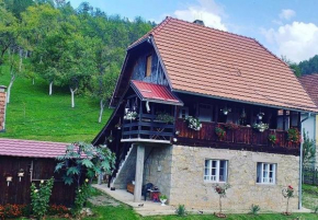 Brvnara Mokra Gora